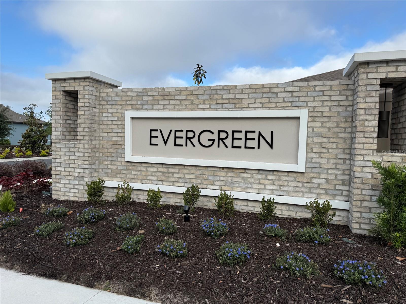 11234 SYCAMORE GLEN LOOP, THONOTOSASSA, FL — photo 2