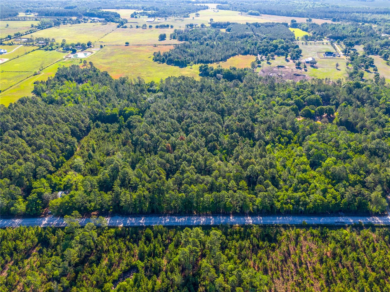 SW 126TH AVE, LAKE BUTLER, FL — photo 2