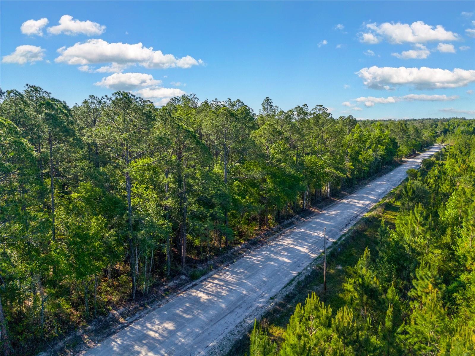 SW 126TH AVE, LAKE BUTLER, FL — photo 3