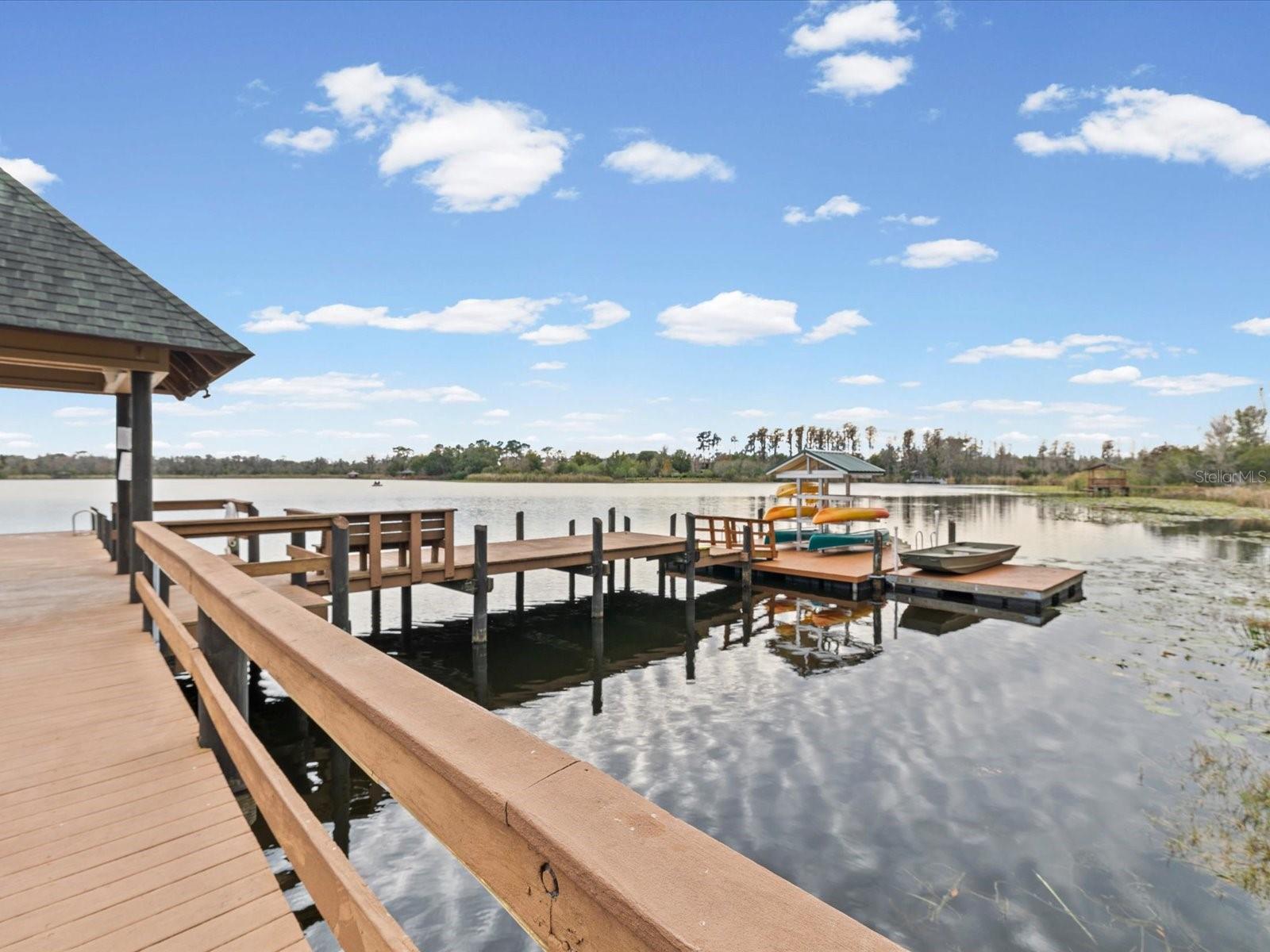 21014 FOLLENSBY CT, LAND O LAKES, FL — photo 63