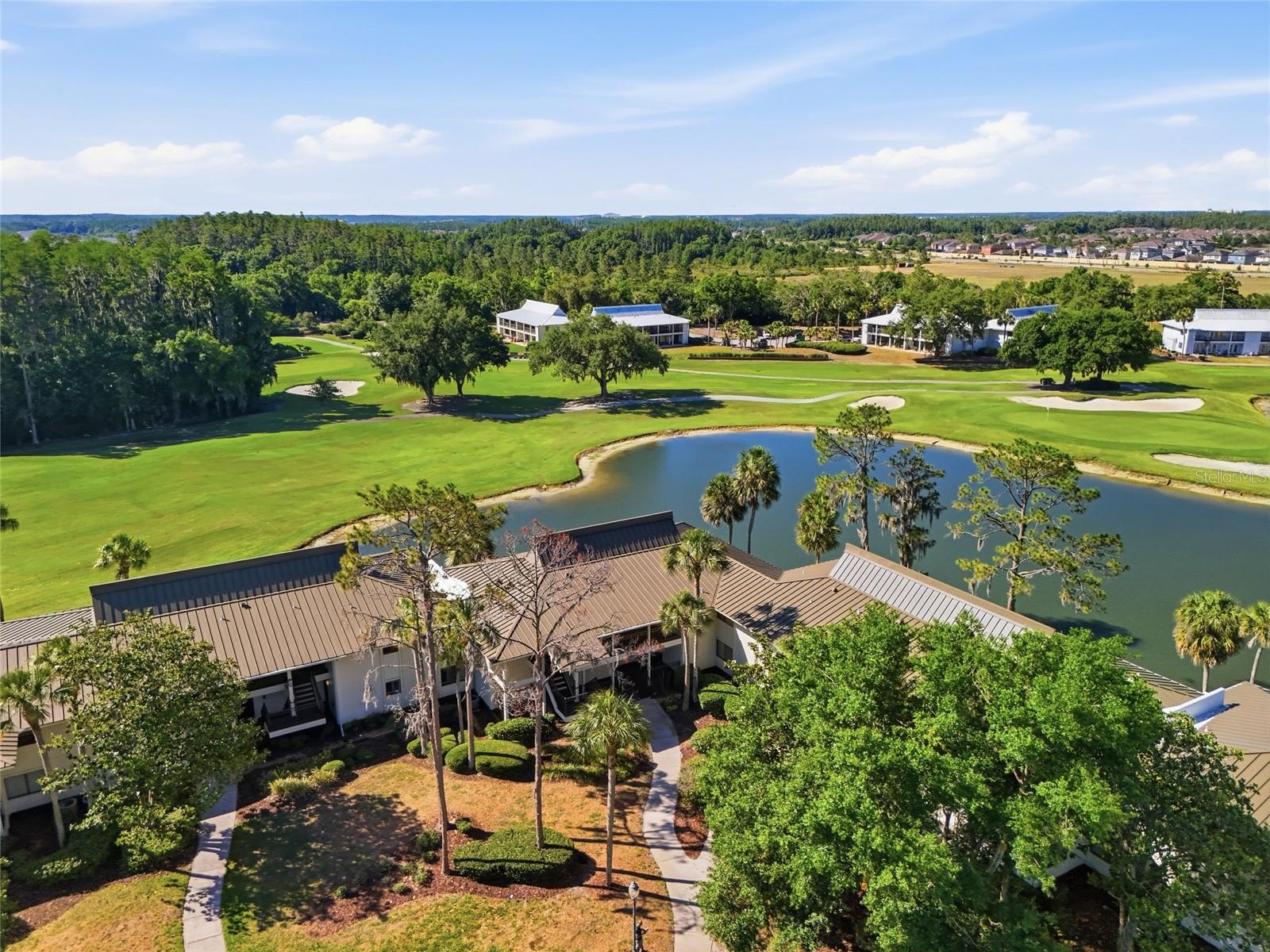 29300 BAY HOLLOW DR #3257, WESLEY CHAPEL, FL — photo 38
