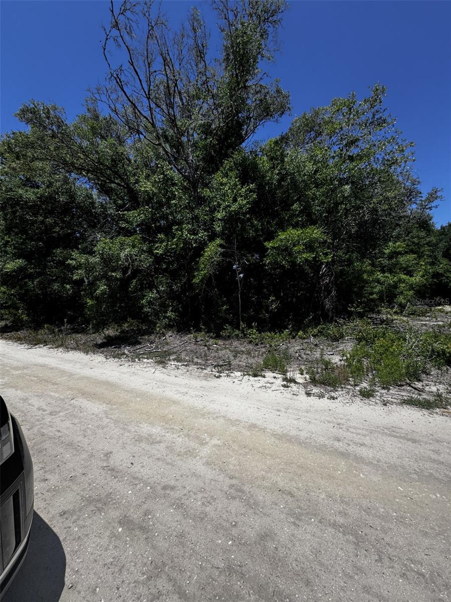 0 SW 104TH LN, DUNNELLON, FL