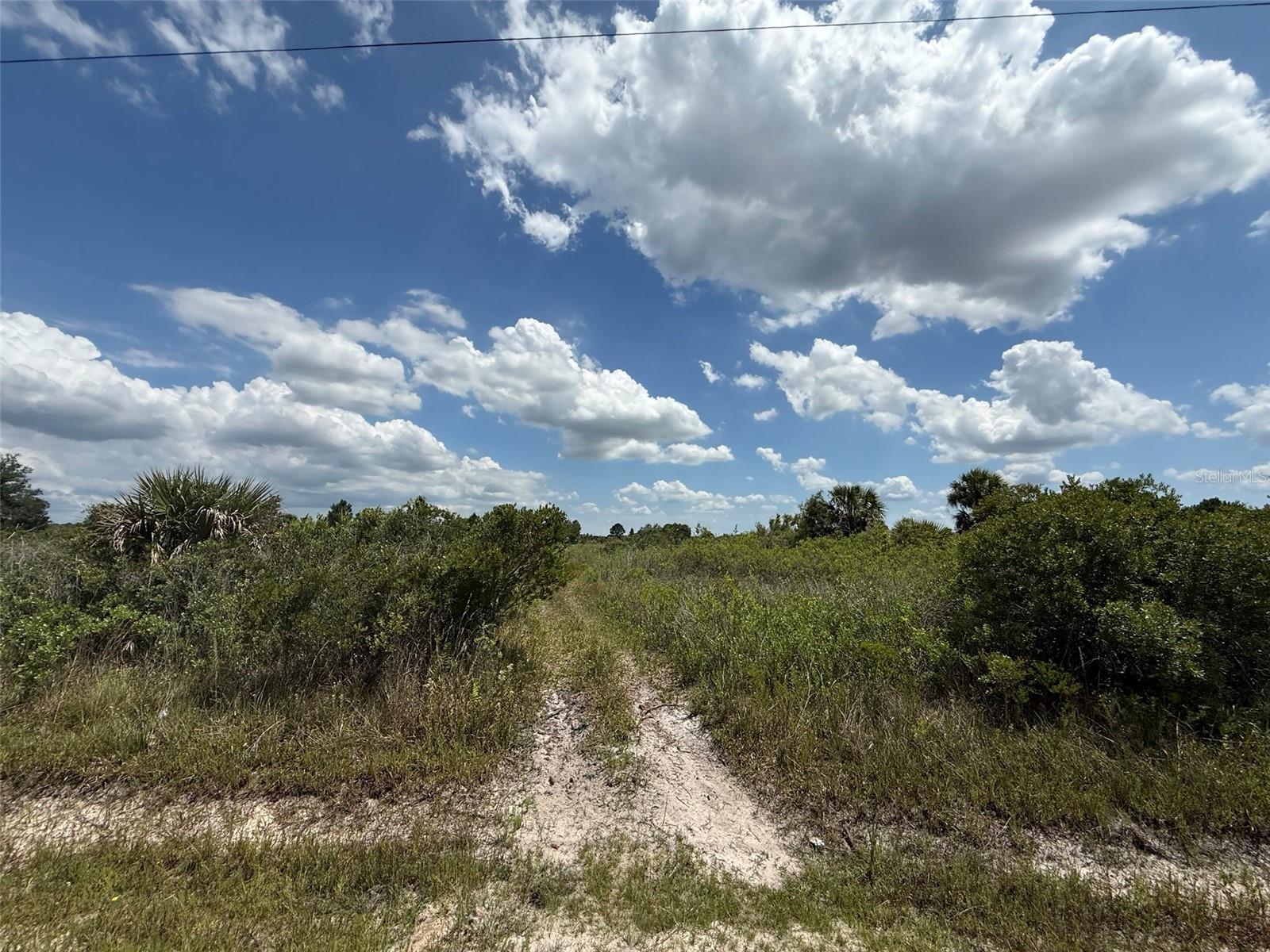 16162 NW 290TH ST, OKEECHOBEE, FL — photo 2