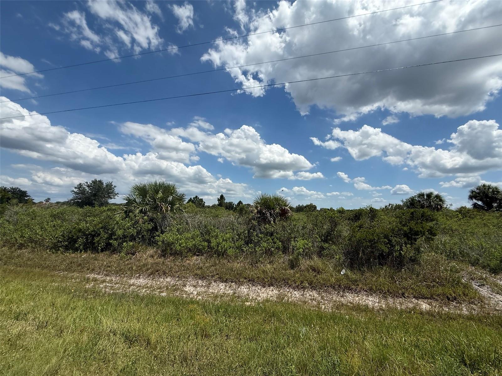 16162 NW 290TH ST, OKEECHOBEE, FL — photo 3