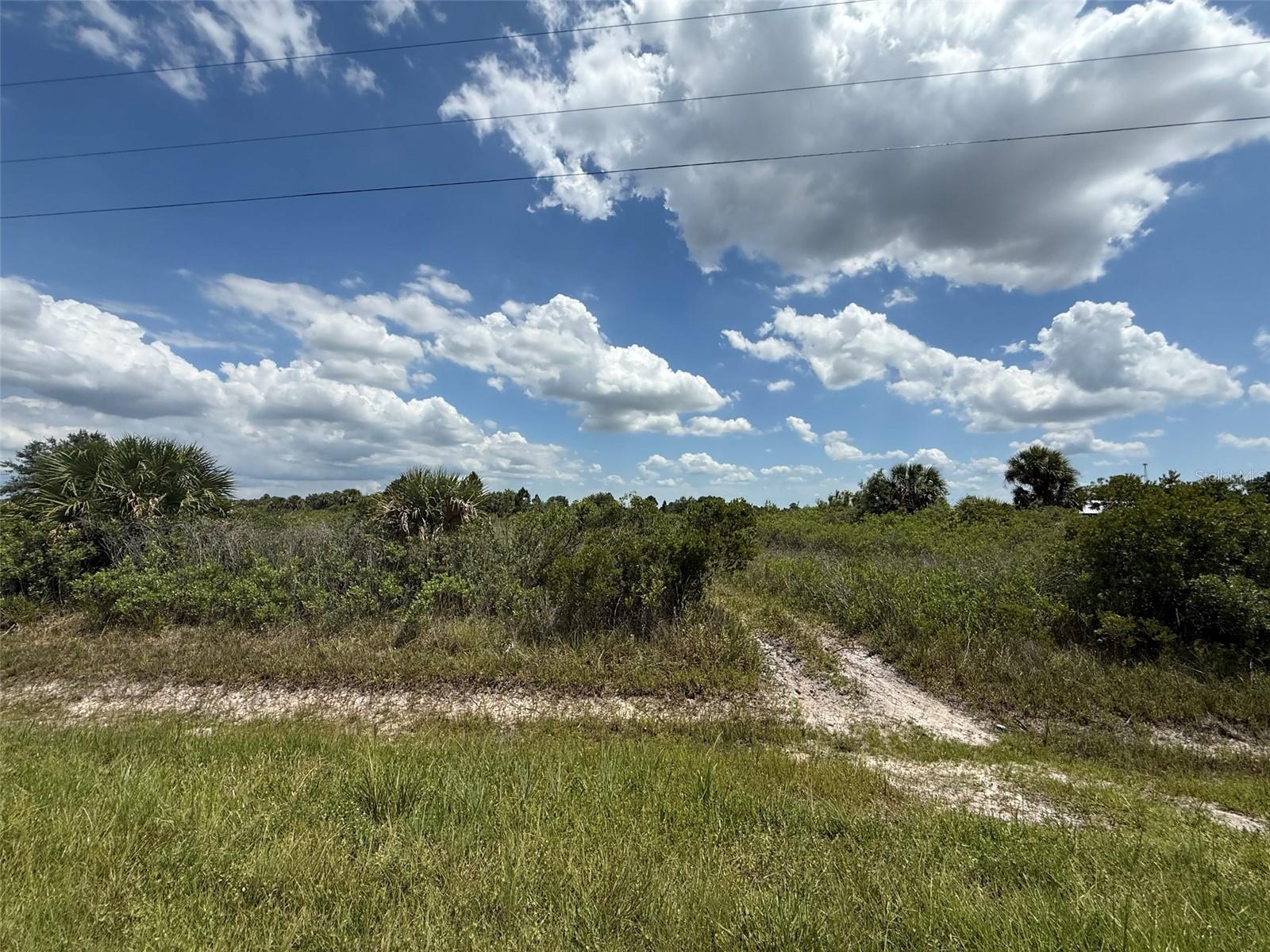 16162 NW 290TH ST, OKEECHOBEE, FL — photo 5