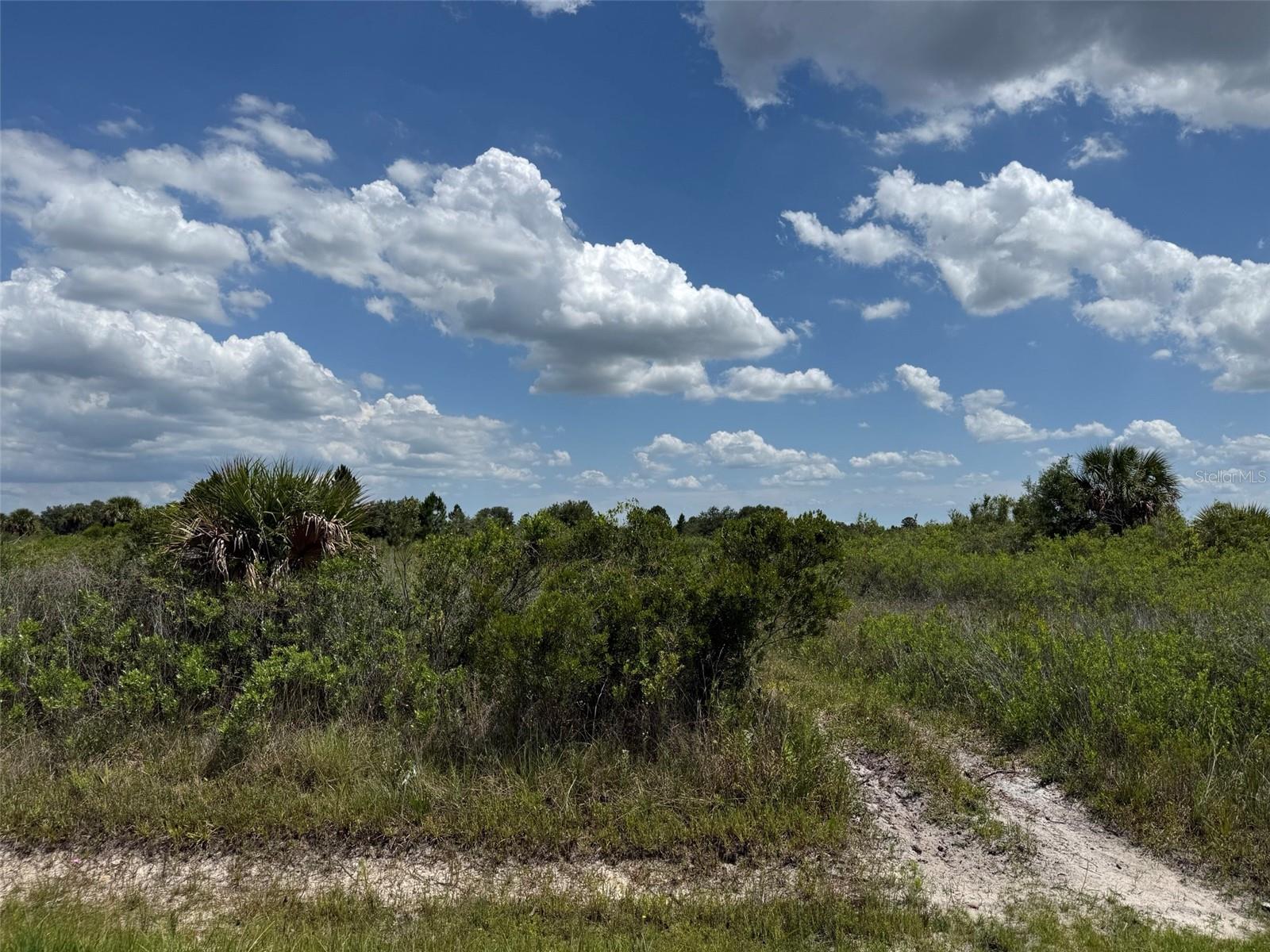 16162 NW 290TH ST, OKEECHOBEE, FL — photo 16