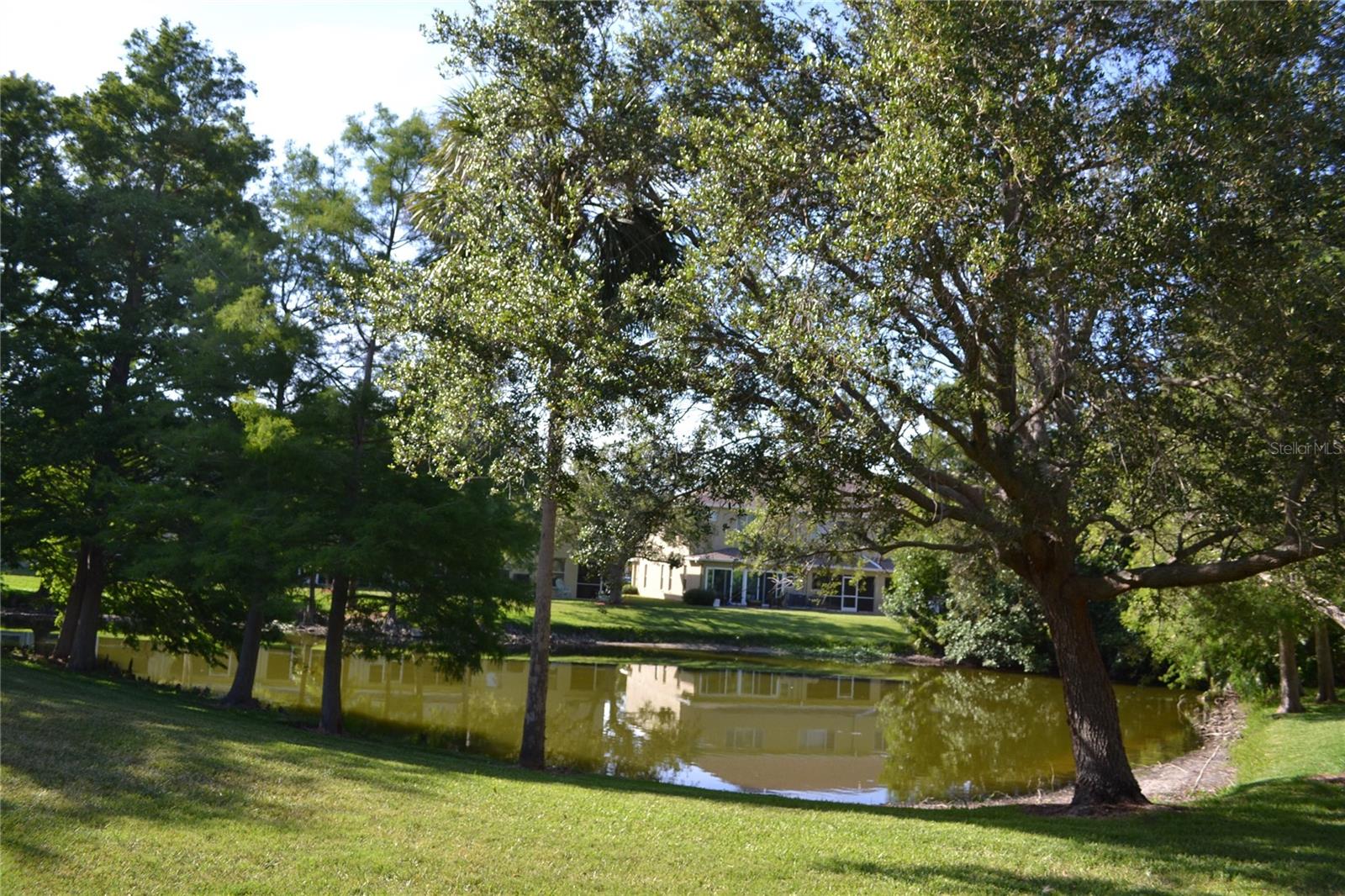 11235 KAPOK GRAND CIR, MADEIRA BEACH, FL — photo 16