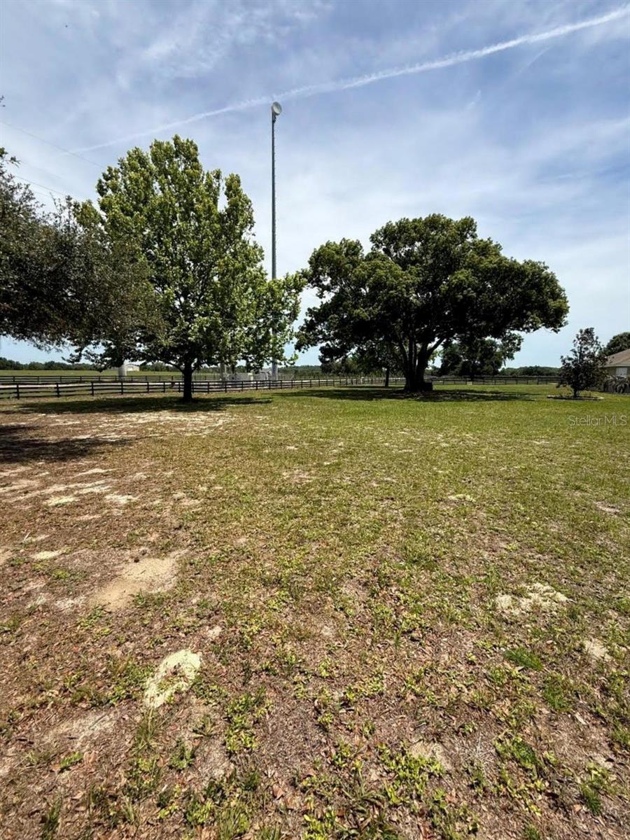 41430 ROGER GILES RD, UMATILLA, FL — photo 8
