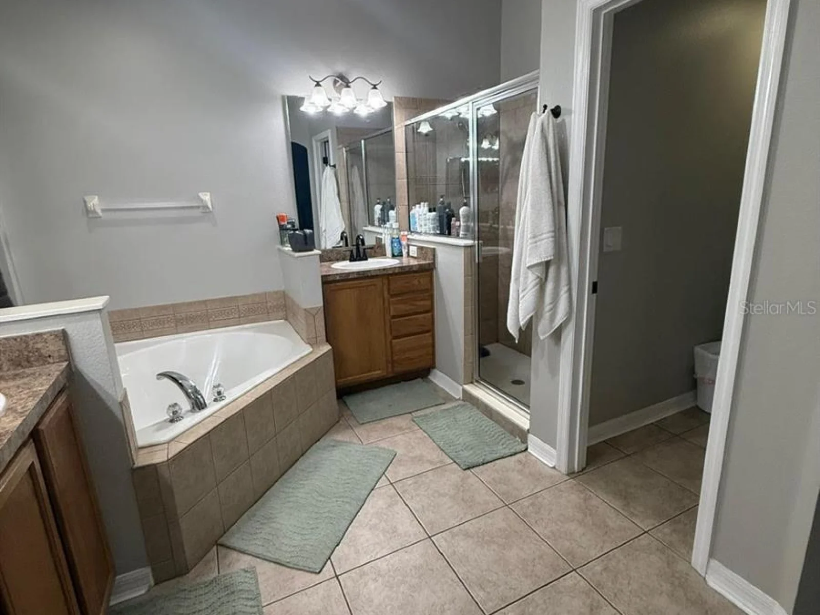 41430 ROGER GILES RD, UMATILLA, FL — photo 24