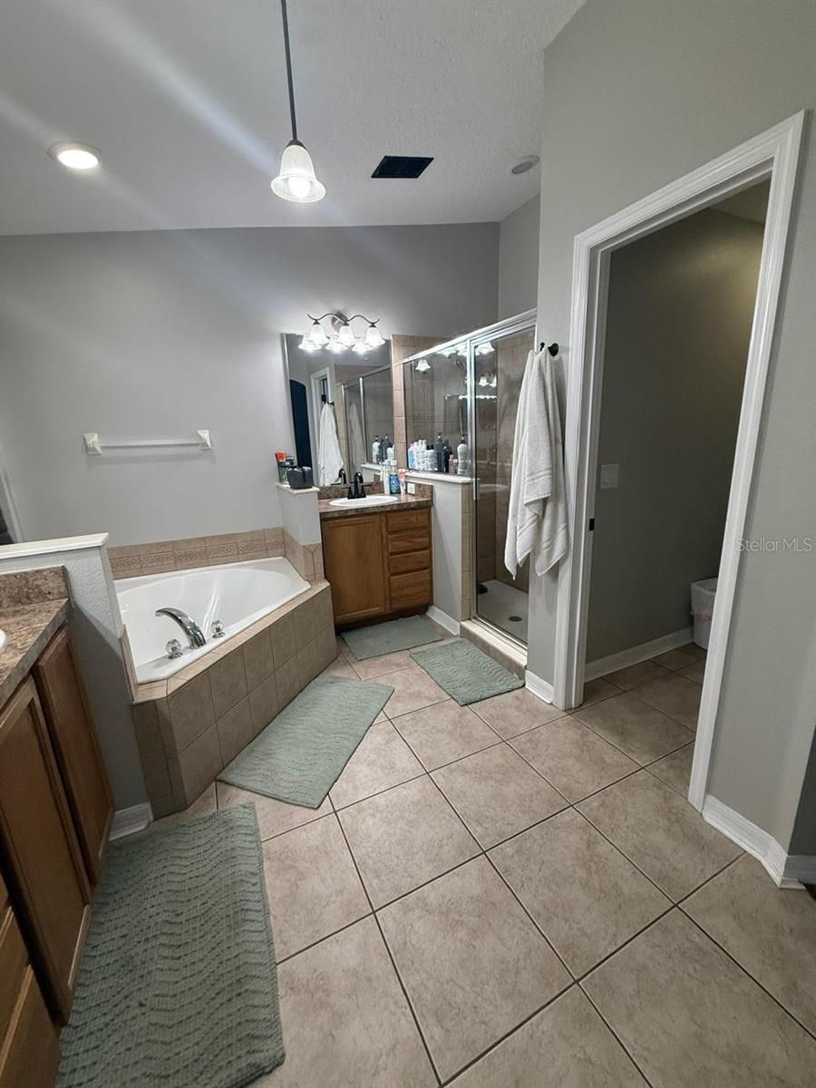 41430 ROGER GILES RD, UMATILLA, FL — photo 23