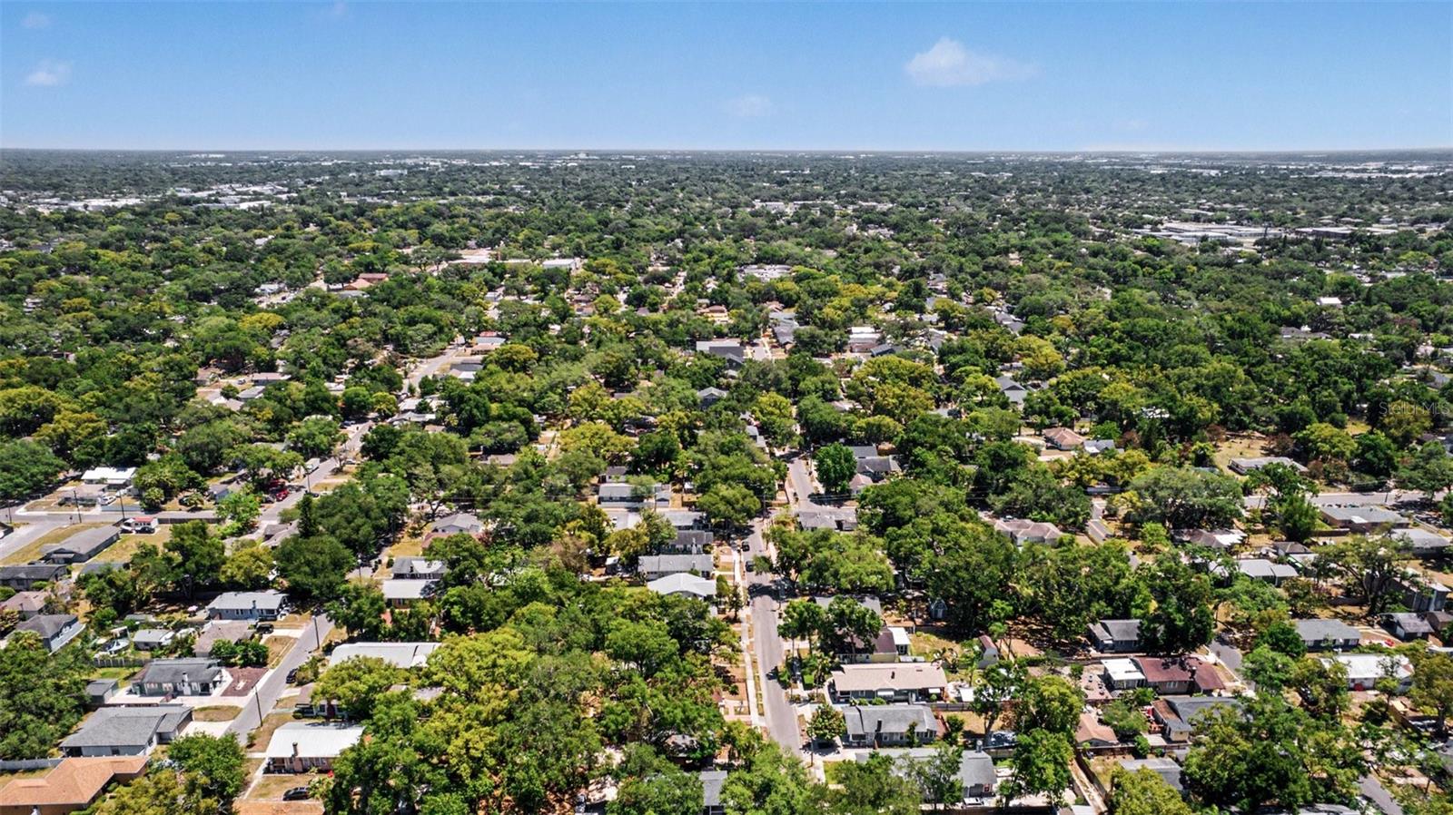 1016 E EMMA ST, TAMPA, FL — photo 37