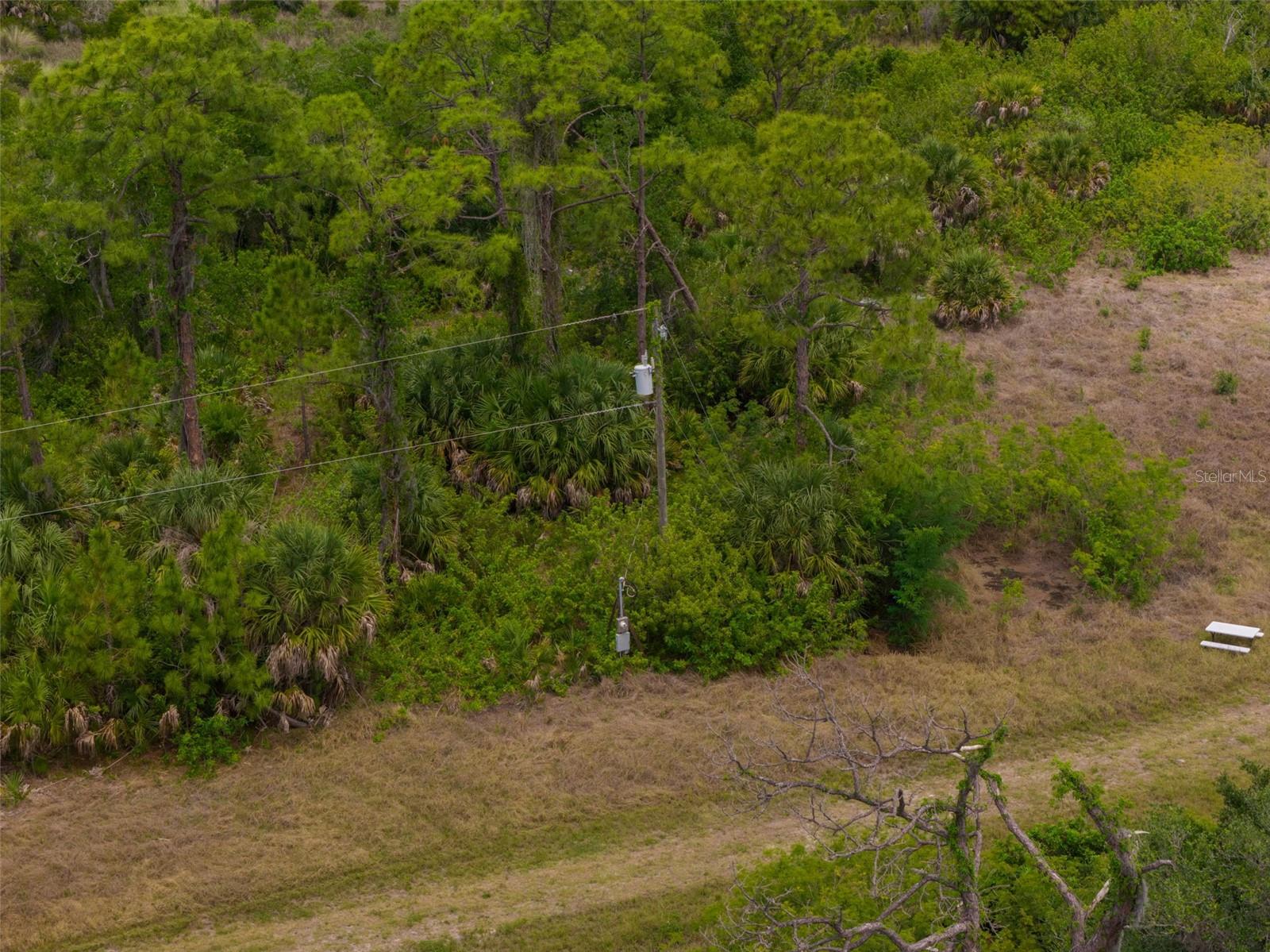 FALCON CT, VENICE, FL — photo 11
