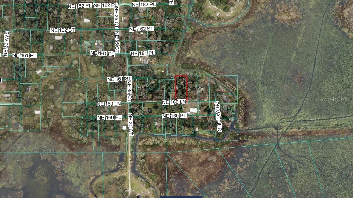 TBD NE 106 LN, CITRA, FL — photo 3