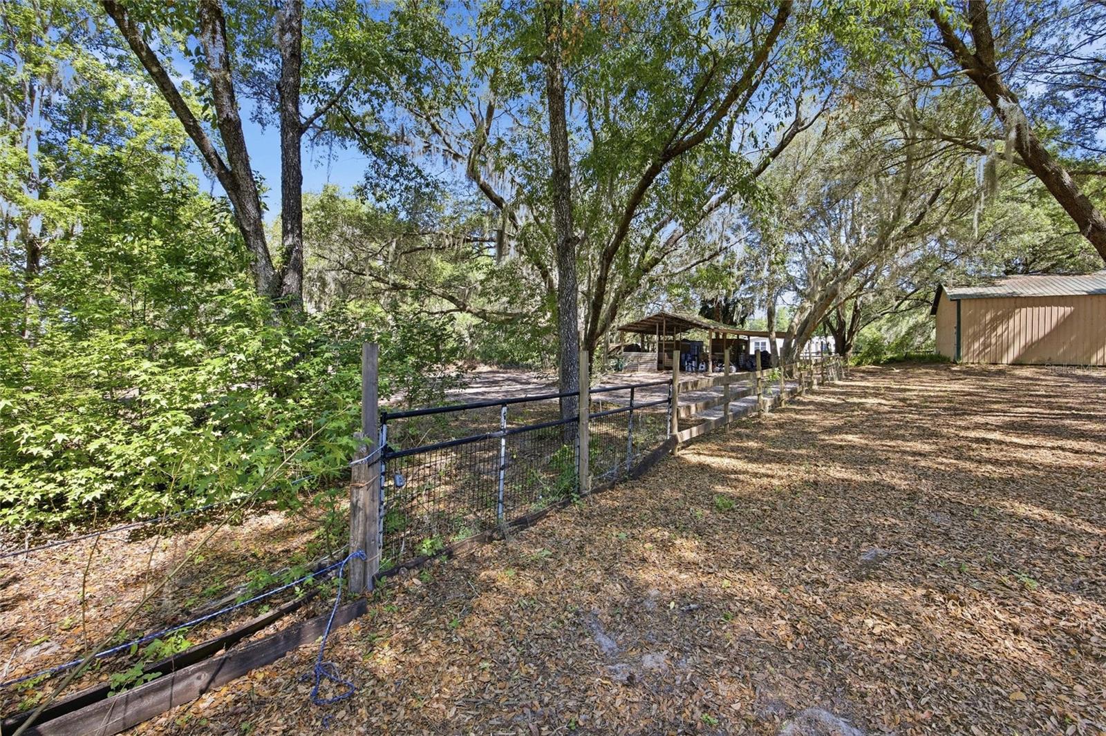 3980 SE 183RD AVENUE RD, OCKLAWAHA, FL — photo 9