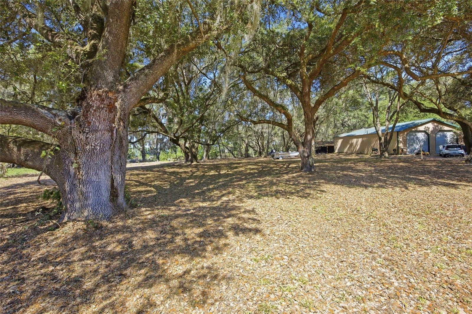 3980 SE 183RD AVENUE RD, OCKLAWAHA, FL — photo 16