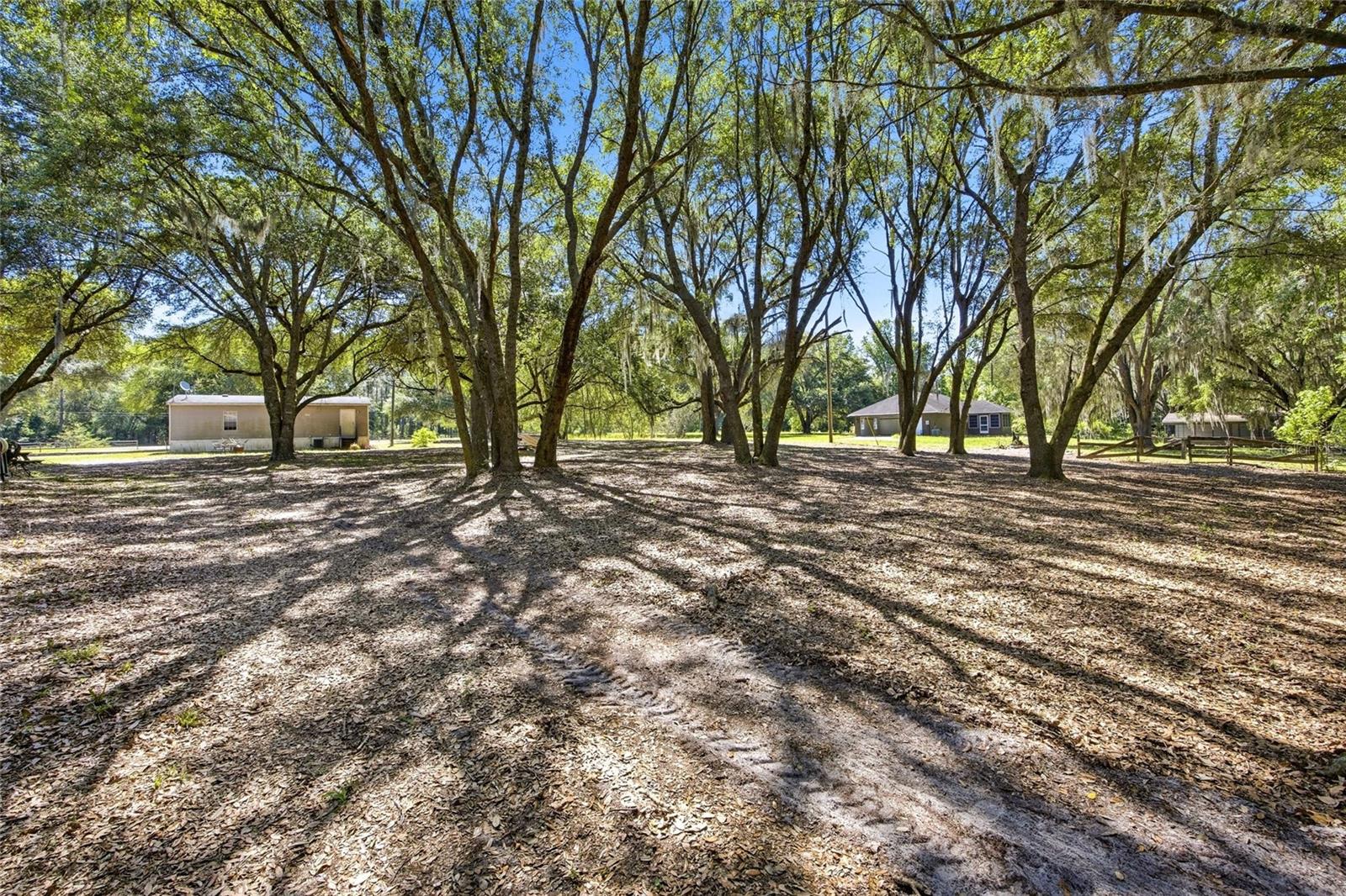 3980 SE 183RD AVENUE RD, OCKLAWAHA, FL — photo 21