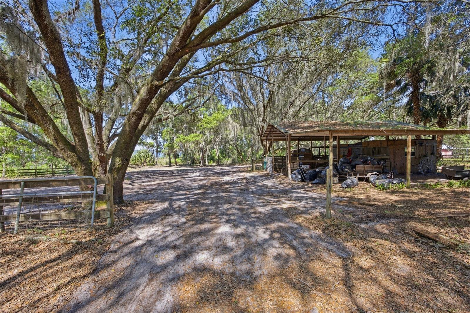 3980 SE 183RD AVENUE RD, OCKLAWAHA, FL — photo 22