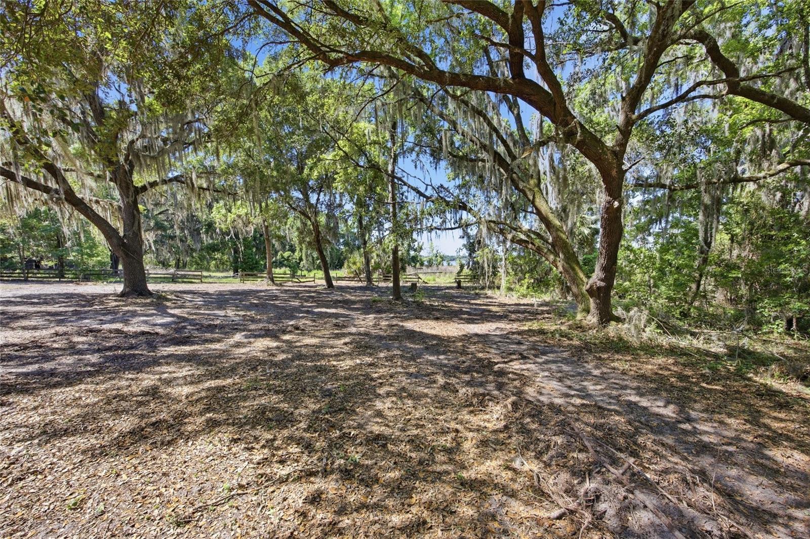 3980 SE 183RD AVENUE RD, OCKLAWAHA, FL — photo 28