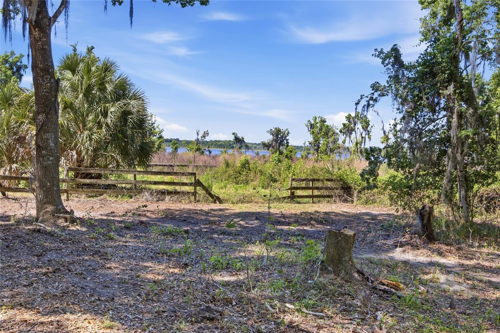 3980 SE 183RD AVENUE RD, OCKLAWAHA, FL — photo 29