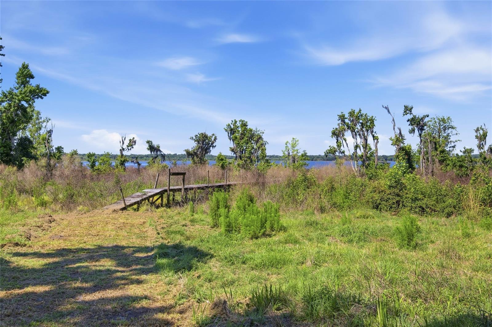 3980 SE 183RD AVENUE RD, OCKLAWAHA, FL — photo 33