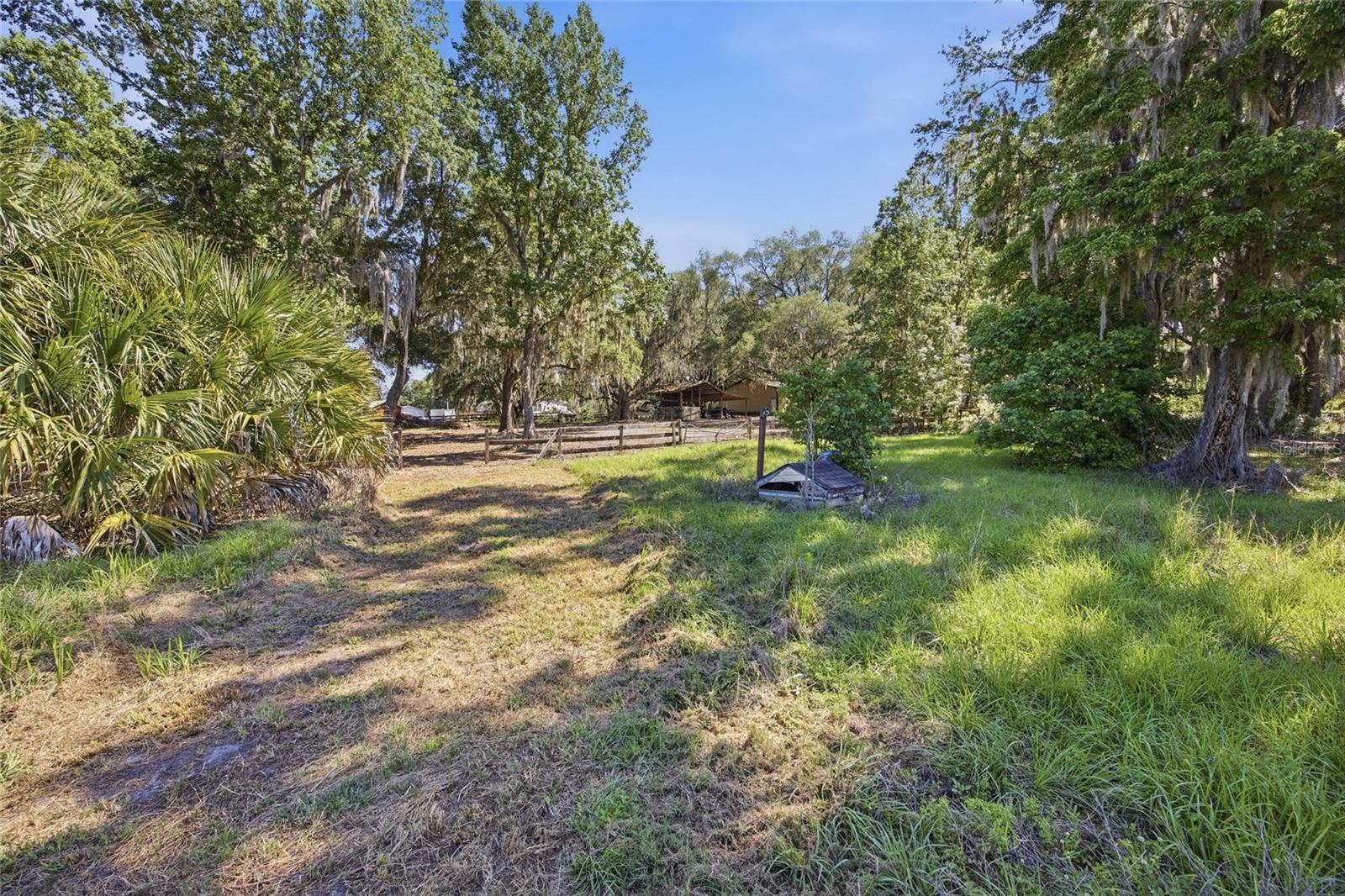 3980 SE 183RD AVENUE RD, OCKLAWAHA, FL — photo 35