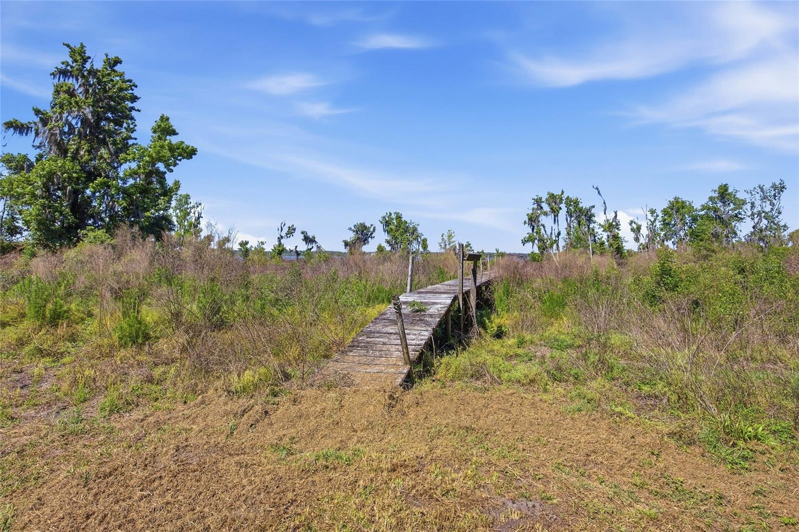 3980 SE 183RD AVENUE RD, OCKLAWAHA, FL — photo 36