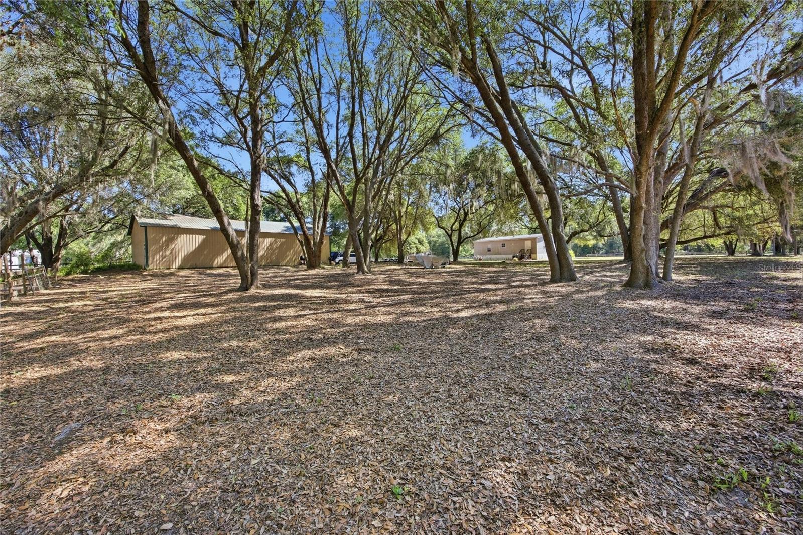 3980 SE 183RD AVENUE RD, OCKLAWAHA, FL — photo 39