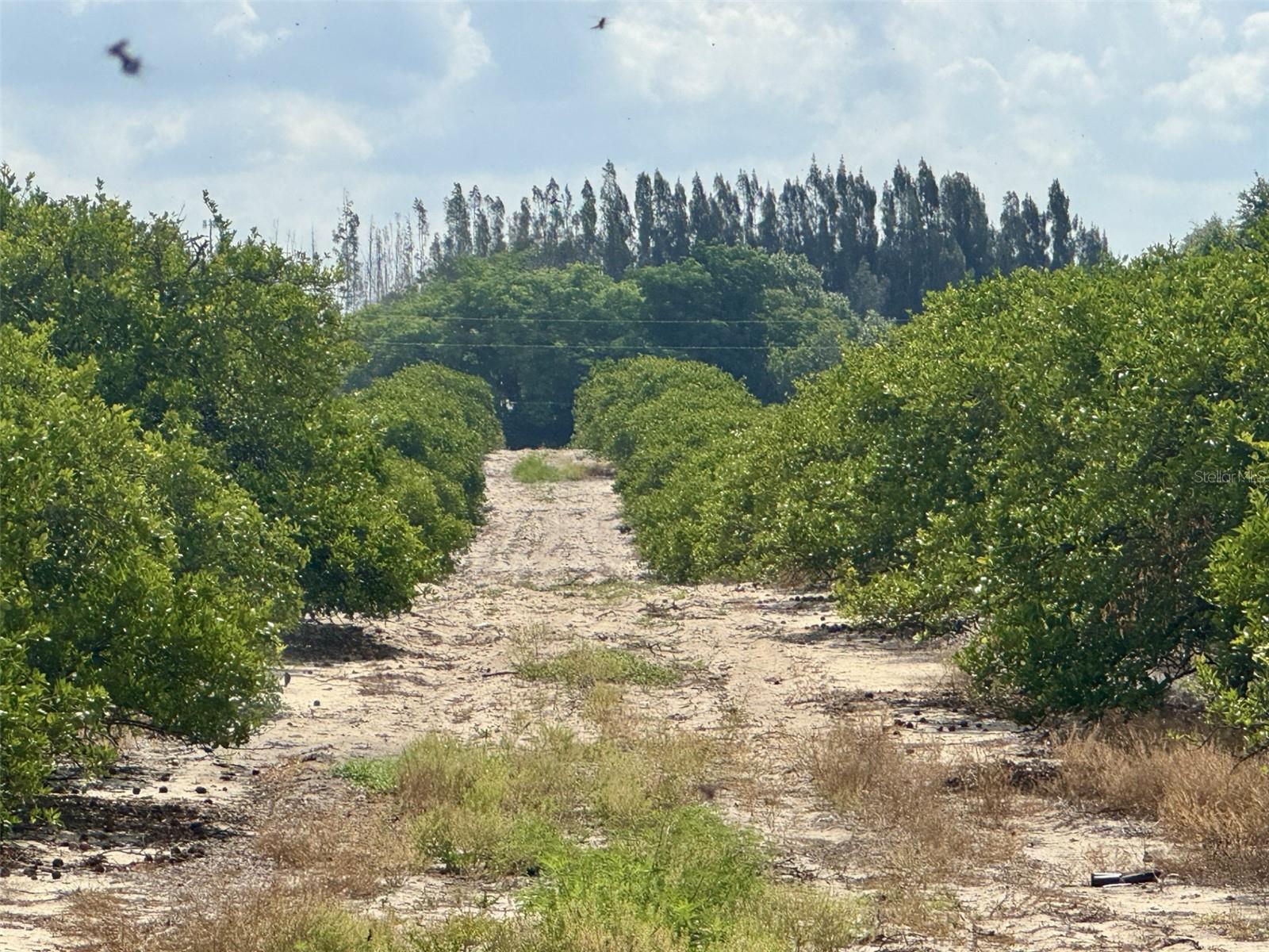 CROOKED LAKE DR N, BABSON PARK, FL