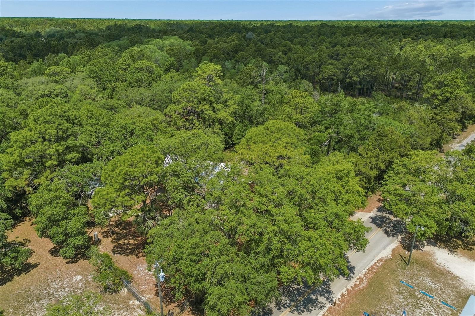 11274 S RIVIERA DR, HOMOSASSA, FL — photo 53