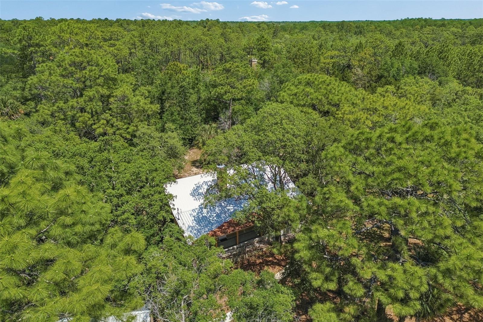 11274 S RIVIERA DR, HOMOSASSA, FL — photo 55