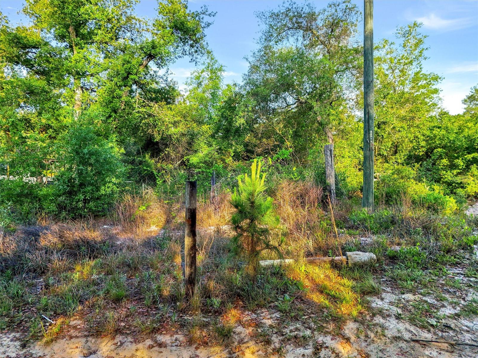 JEWELL DR, DELAND, FL — photo 5