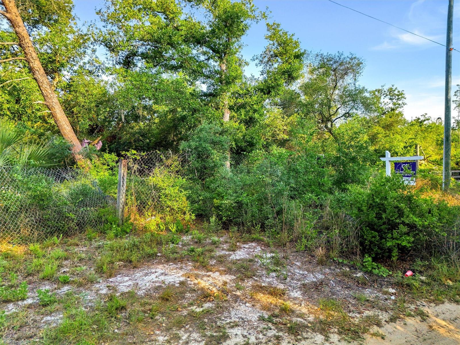 JEWELL DR, DELAND, FL — photo 7