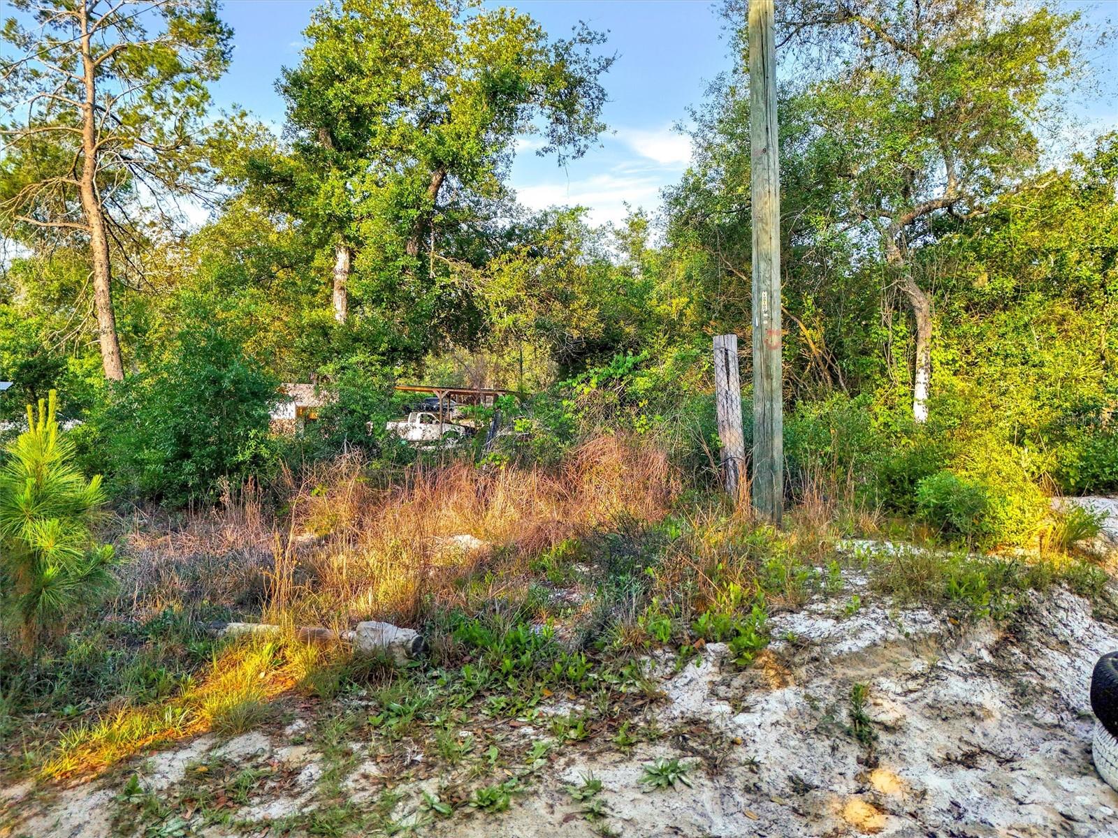 JEWELL DR, DELAND, FL — photo 10
