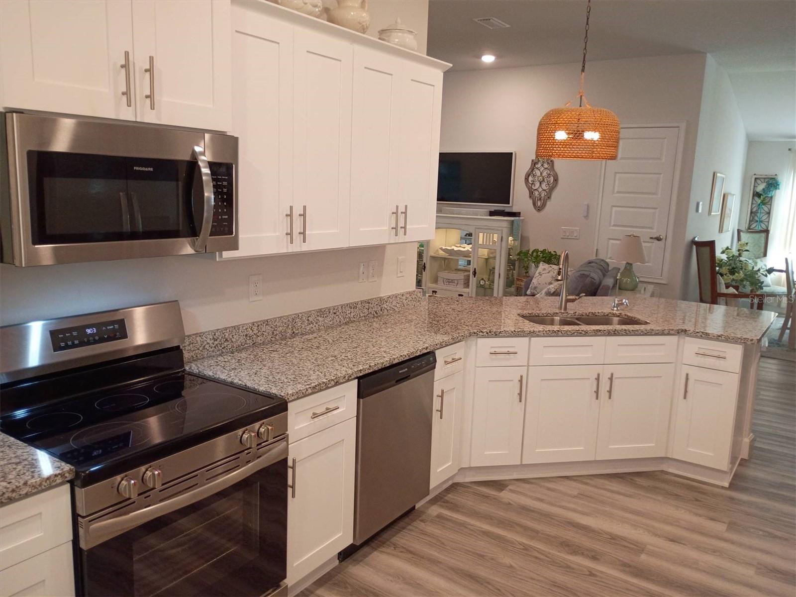 203 SW SILVER PALM DR, LAKE CITY, FL — photo 53