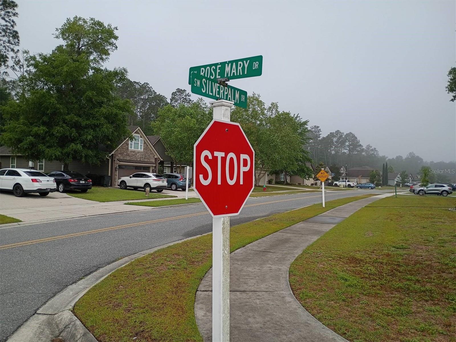 203 SW SILVER PALM DR, LAKE CITY, FL — photo 93
