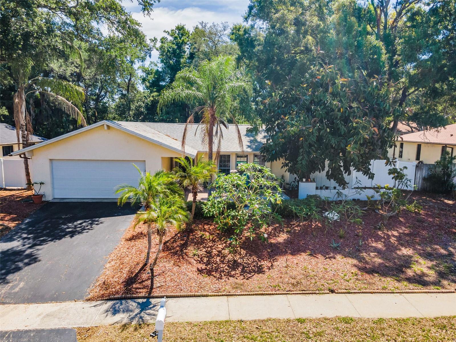 520 SANDY HOOK RD, PALM HARBOR, FL — photo 41