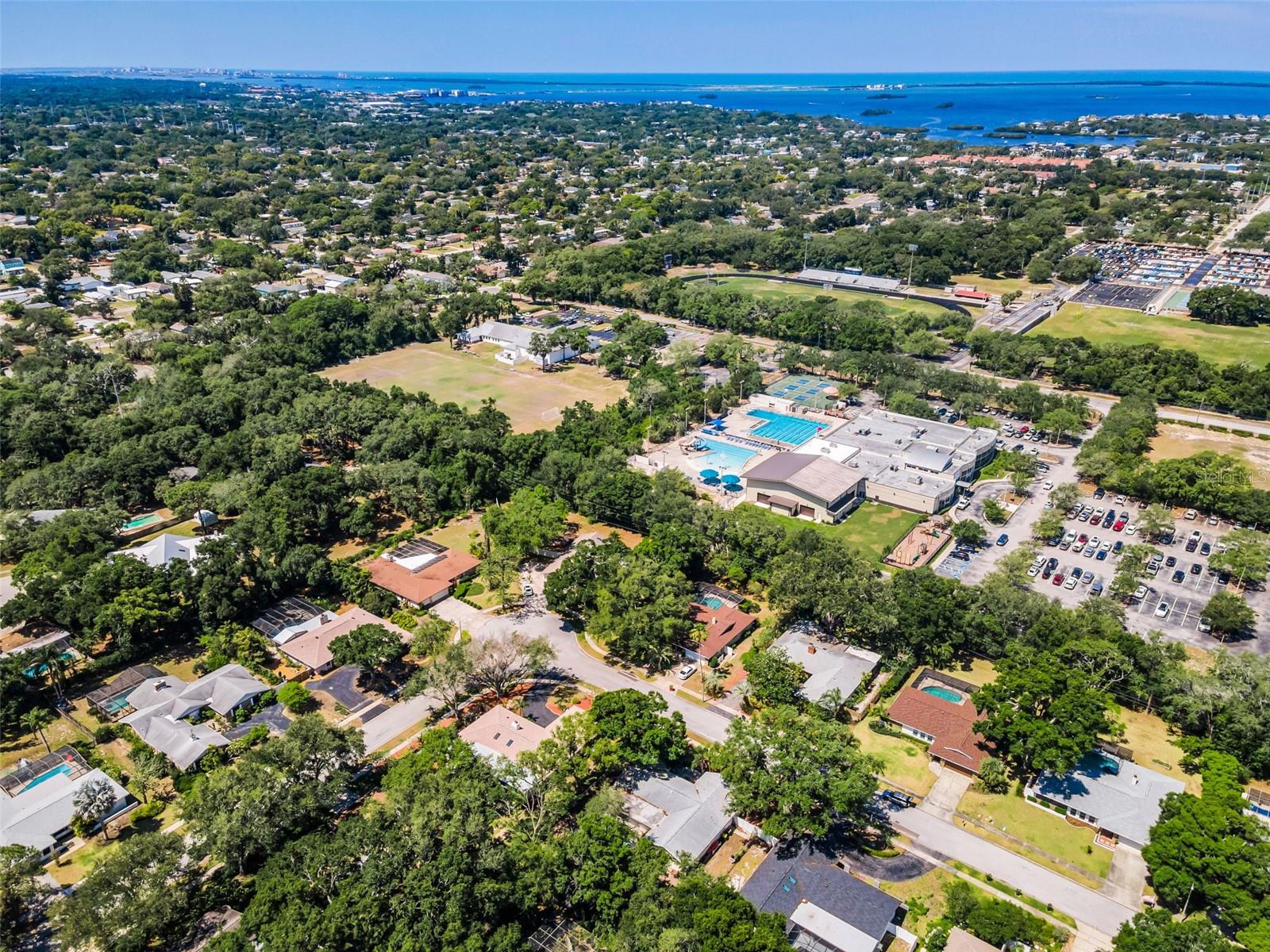 520 SANDY HOOK RD, PALM HARBOR, FL — photo 50