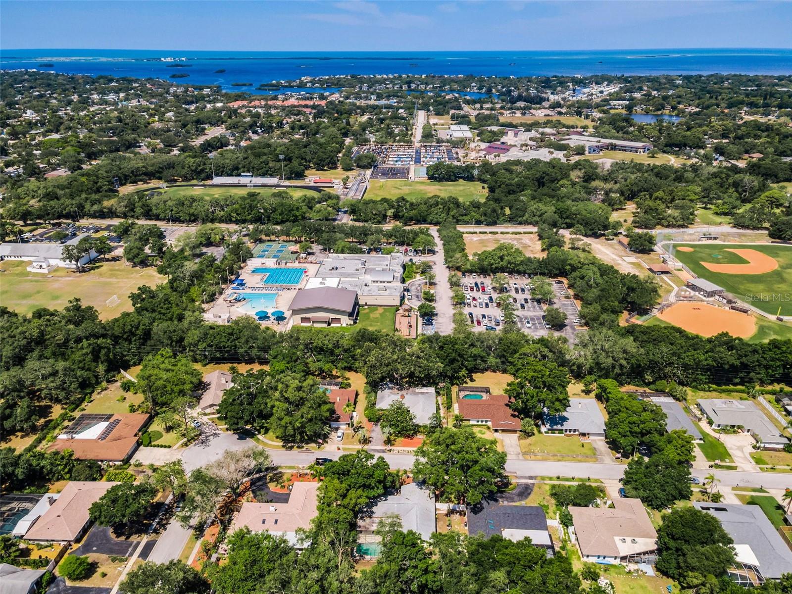 520 SANDY HOOK RD, PALM HARBOR, FL — photo 51