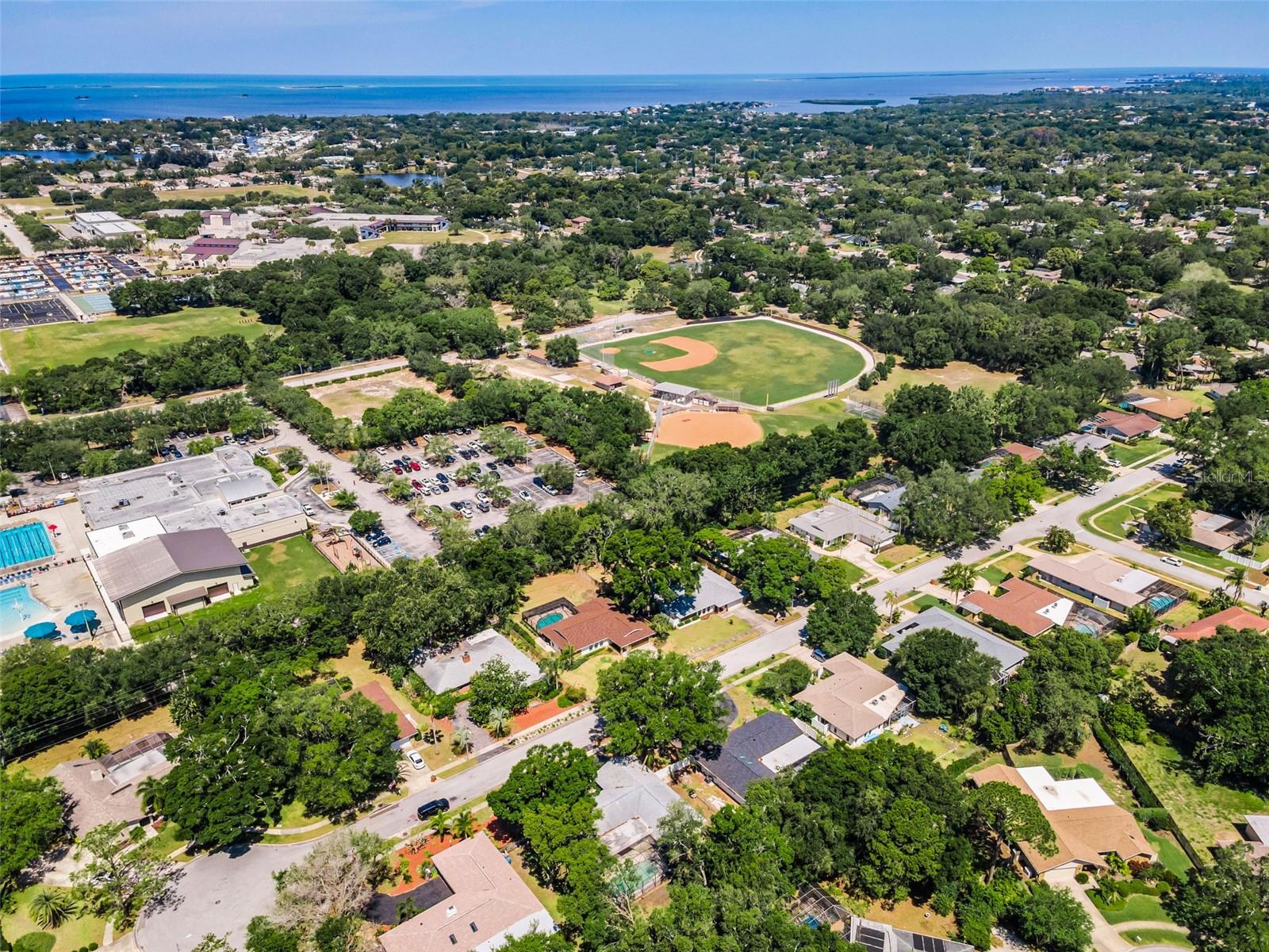 520 SANDY HOOK RD, PALM HARBOR, FL — photo 52