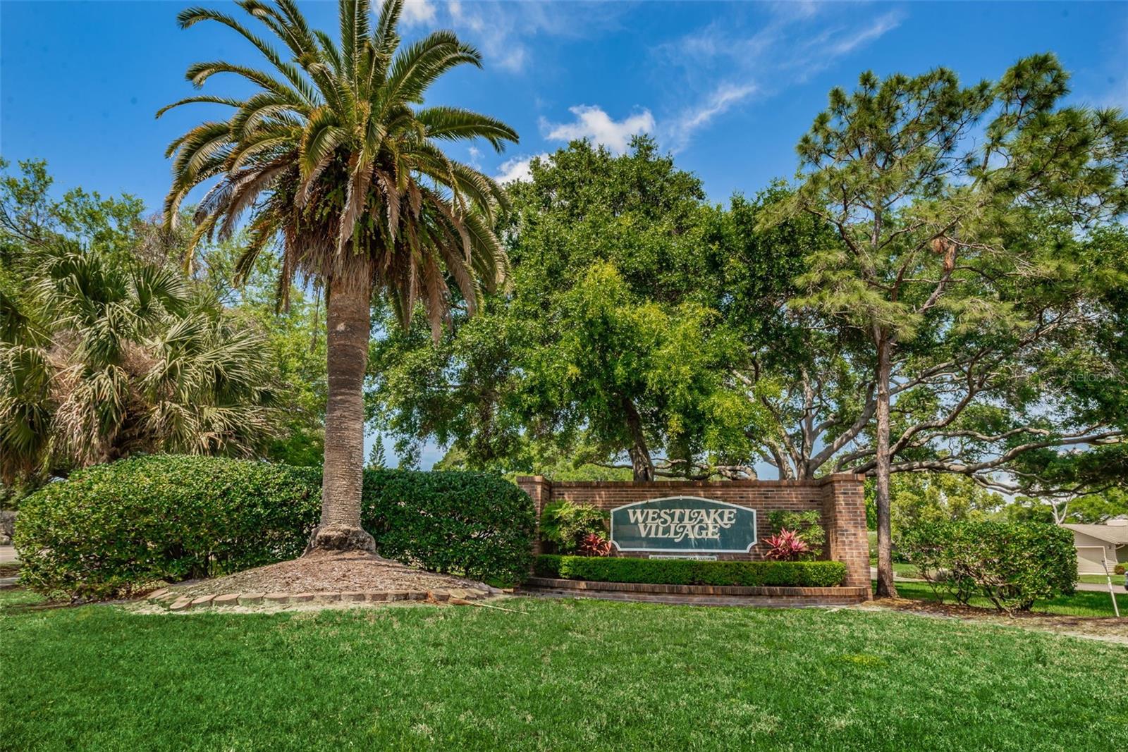 520 SANDY HOOK RD, PALM HARBOR, FL — photo 53