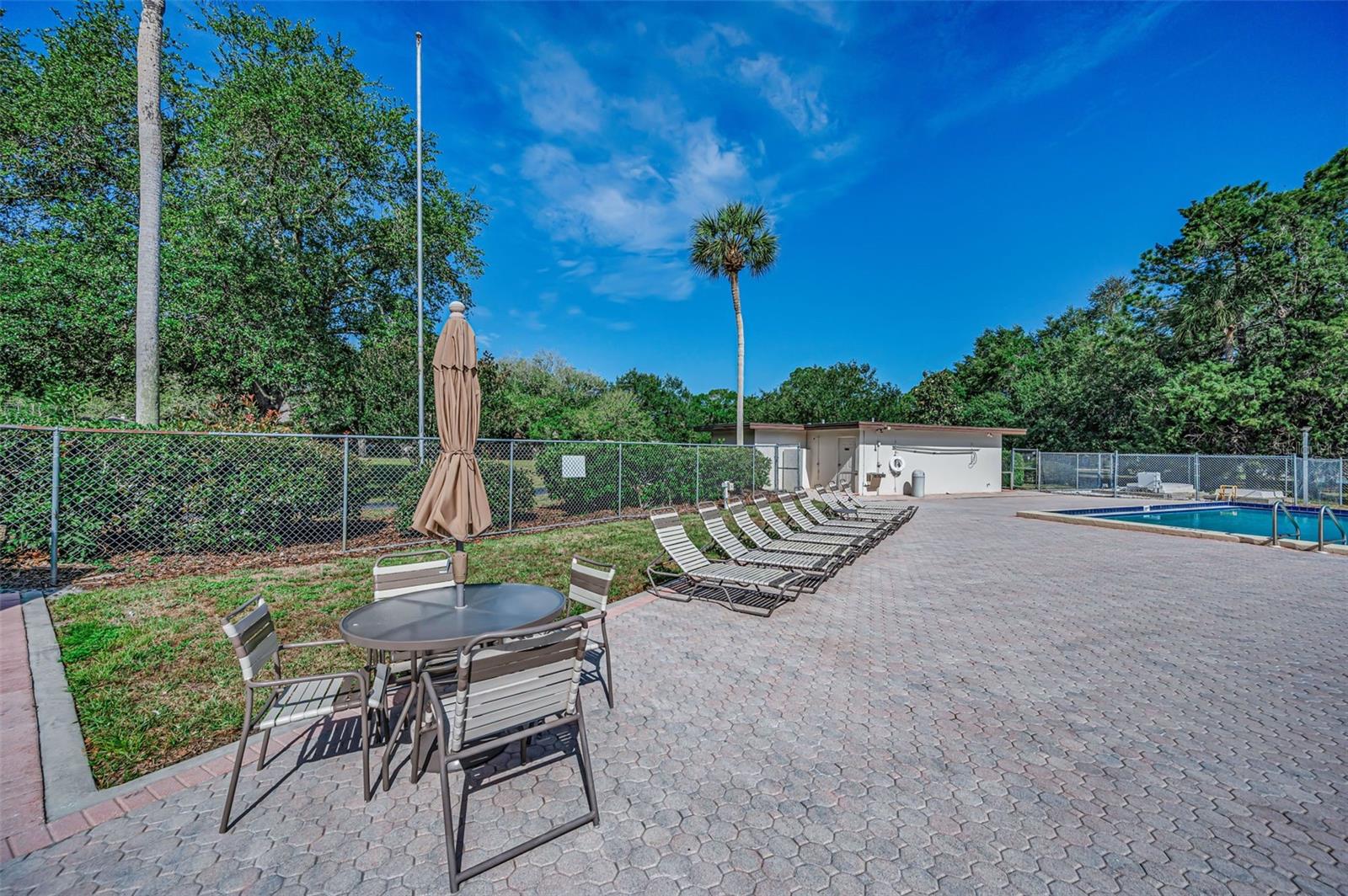 520 SANDY HOOK RD, PALM HARBOR, FL — photo 62