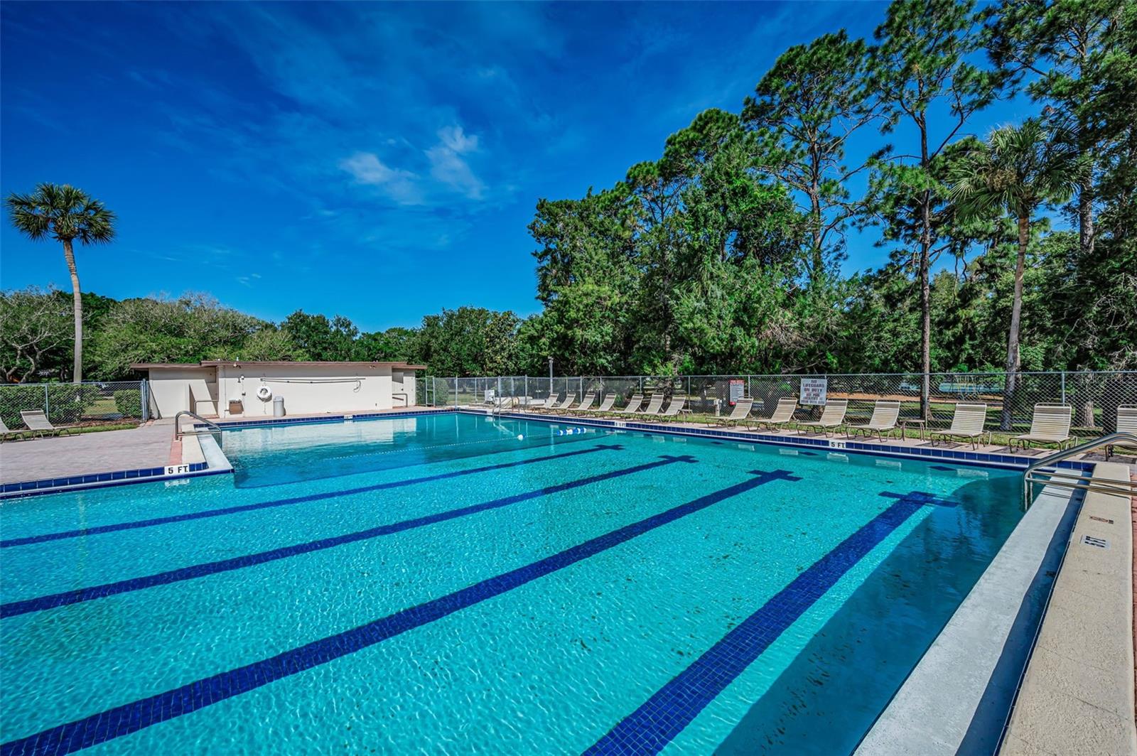 520 SANDY HOOK RD, PALM HARBOR, FL — photo 65