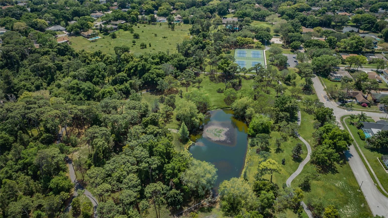 520 SANDY HOOK RD, PALM HARBOR, FL — photo 69