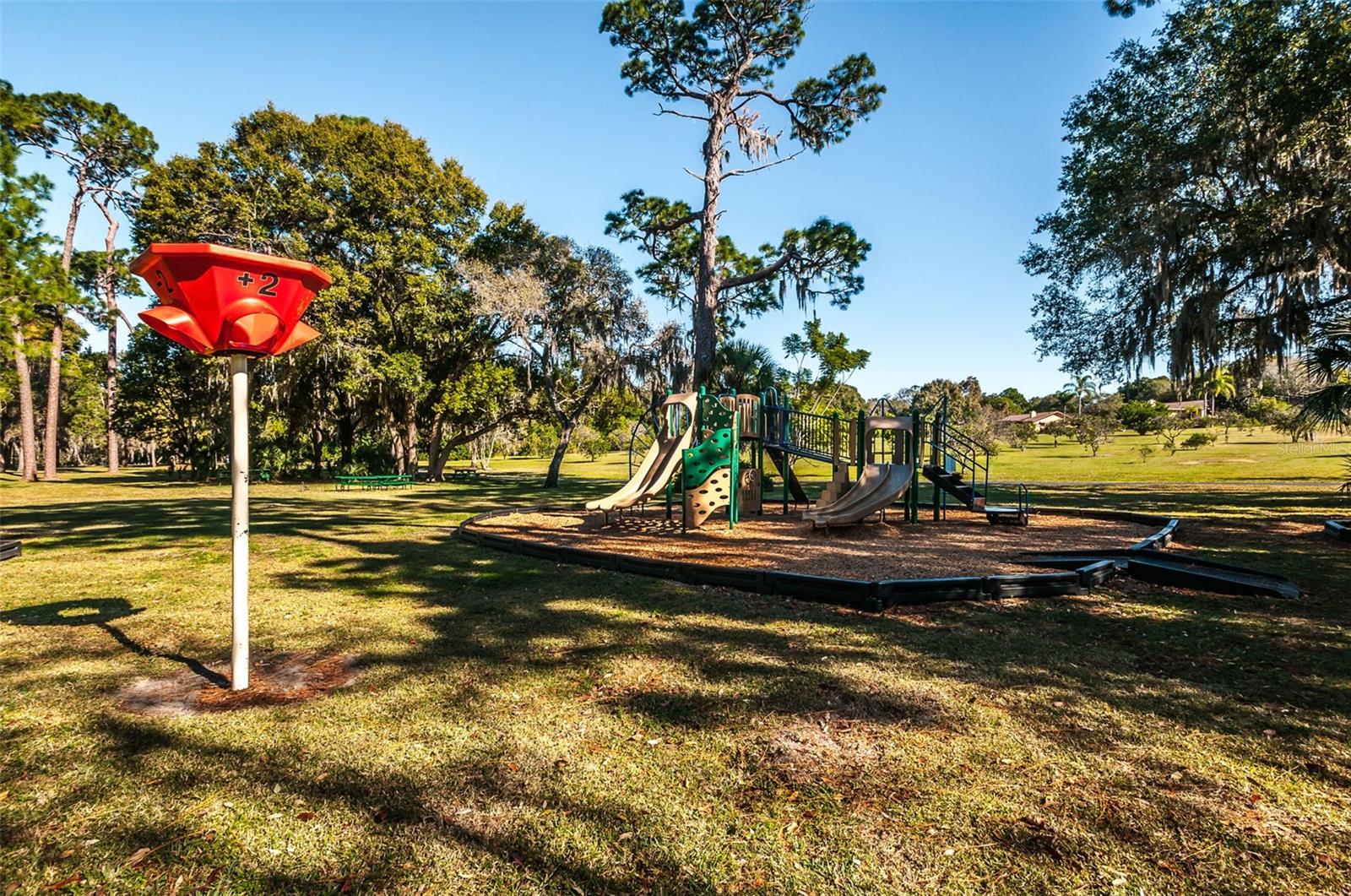 520 SANDY HOOK RD, PALM HARBOR, FL — photo 72