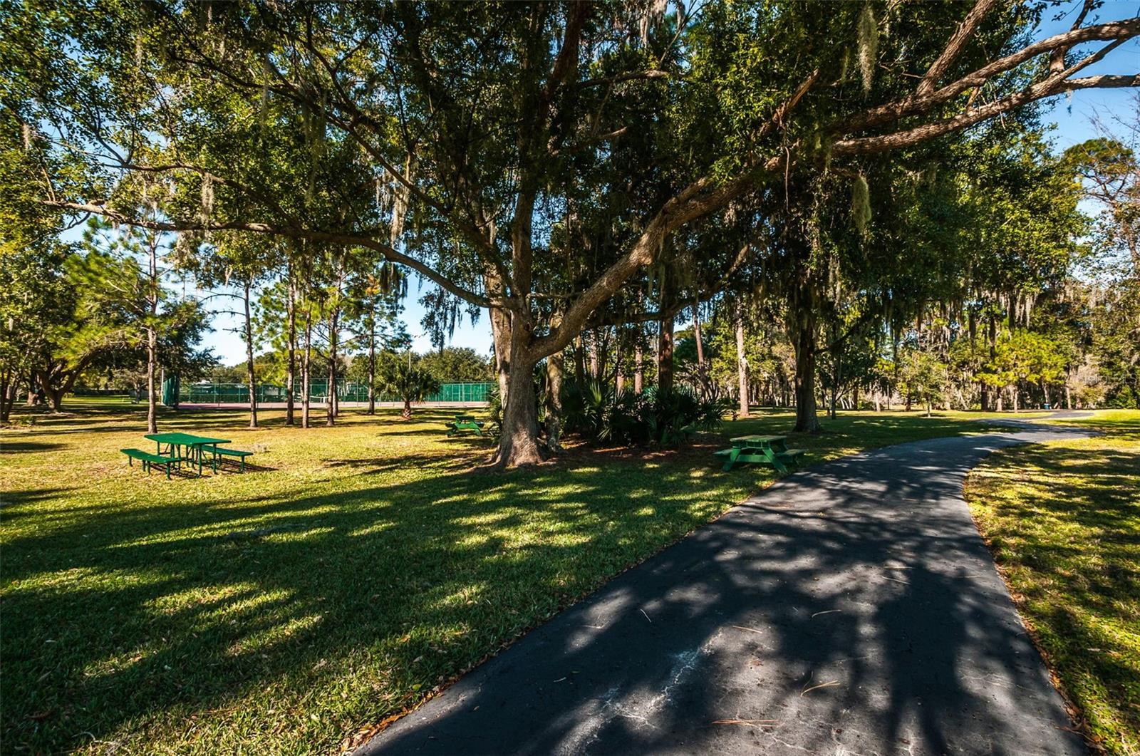 520 SANDY HOOK RD, PALM HARBOR, FL — photo 74