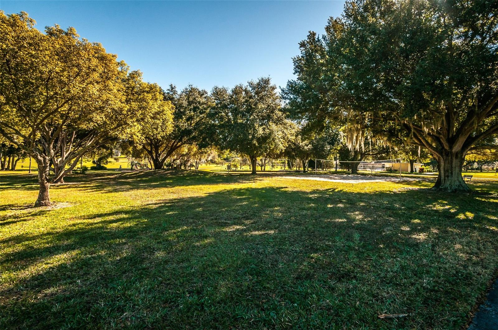 520 SANDY HOOK RD, PALM HARBOR, FL — photo 75