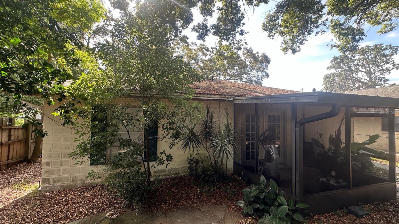 205 PINECREST RD, MOUNT DORA, FL — photo 12