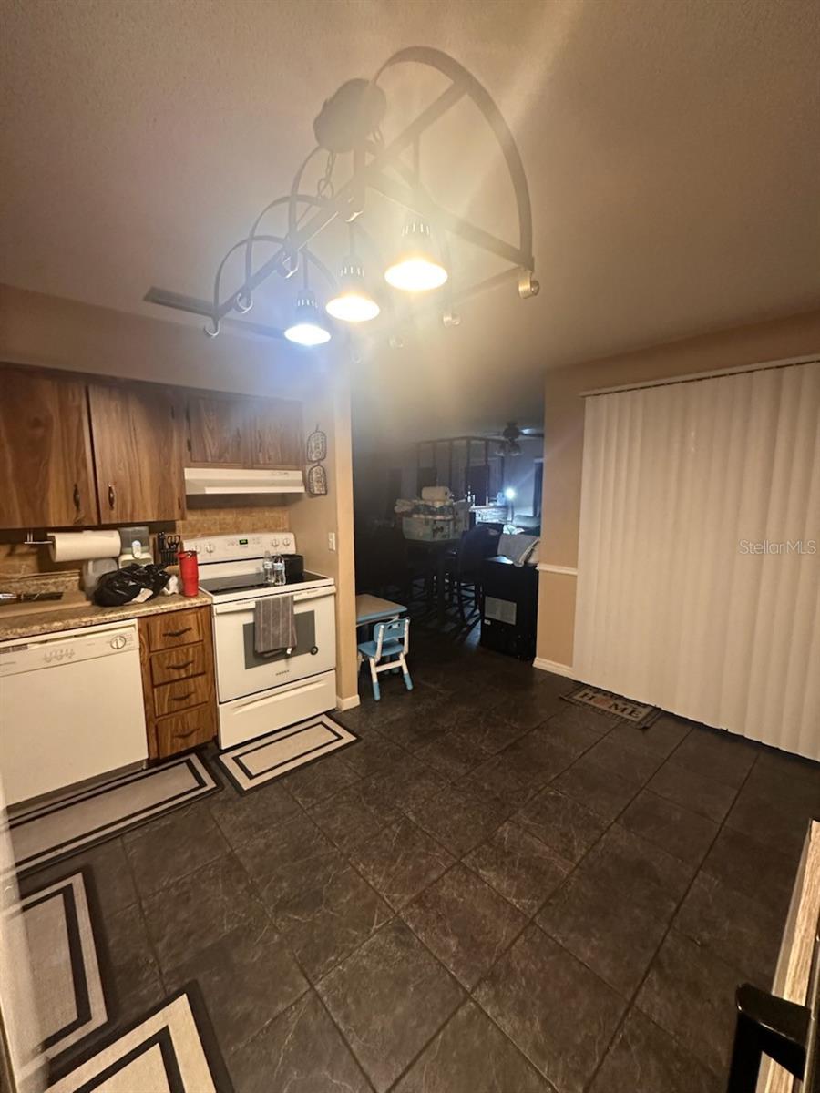 205 PINECREST RD, MOUNT DORA, FL — photo 35
