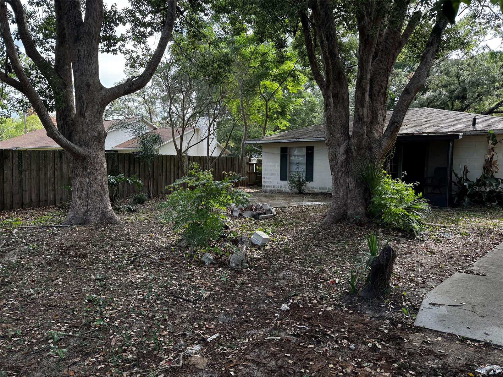 205 PINECREST RD, MOUNT DORA, FL — photo 21