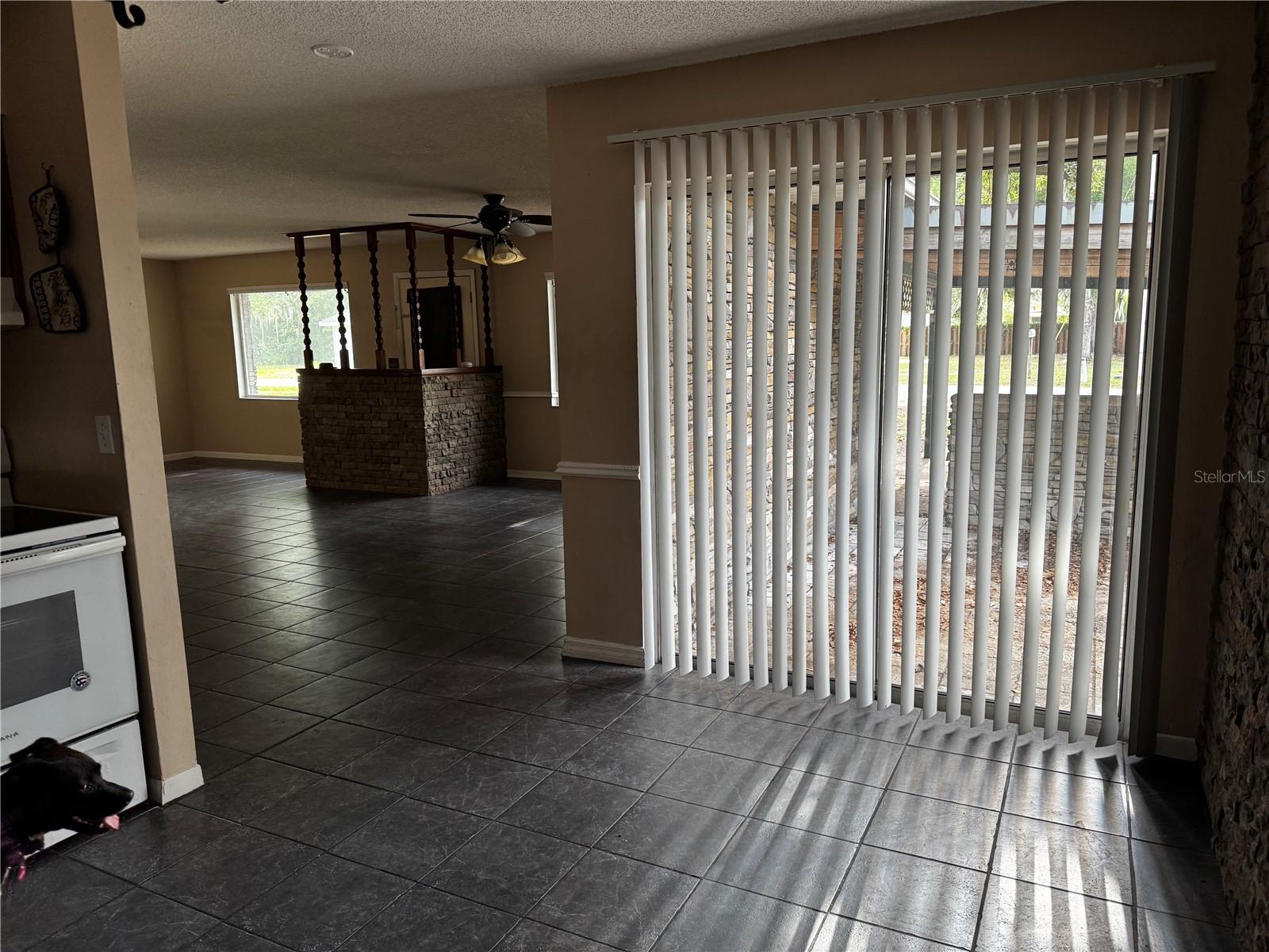205 PINECREST RD, MOUNT DORA, FL — photo 34